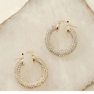 Sparkly small hoops